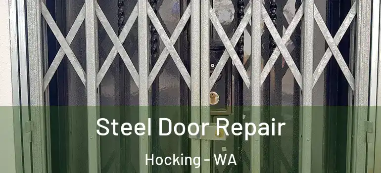 Steel Door Repair Hocking - WA