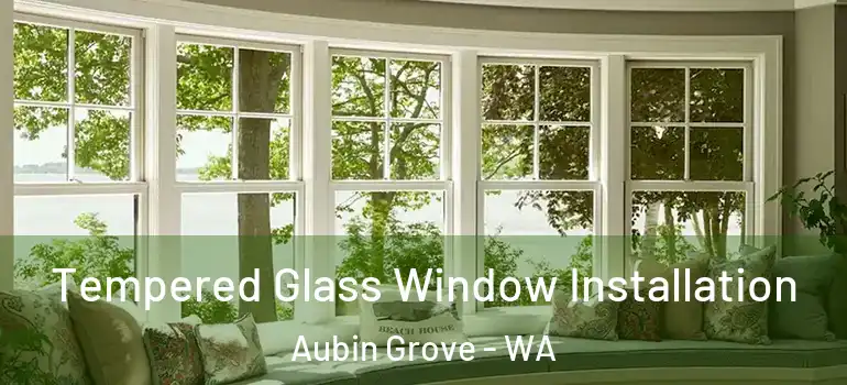 Tempered Glass Window Installation Aubin Grove - WA