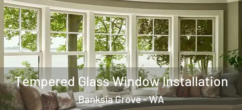 Tempered Glass Window Installation Banksia Grove - WA