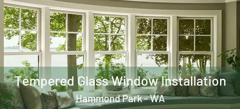 Tempered Glass Window Installation Hammond Park - WA
