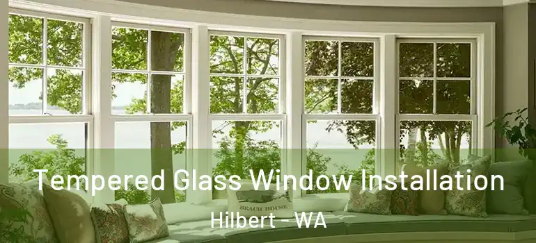  Tempered Glass Window Installation Hilbert - WA