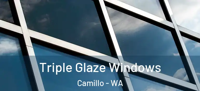 Triple Glaze Windows Camillo - WA