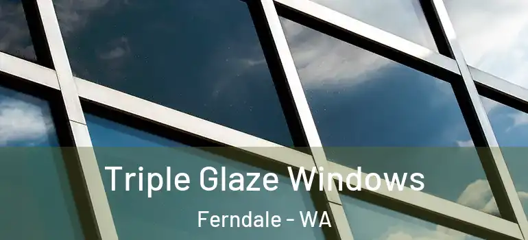  Triple Glaze Windows Ferndale - WA