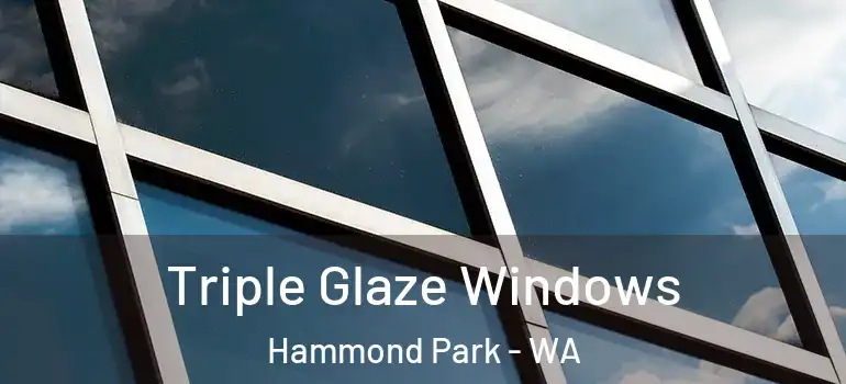 Triple Glaze Windows Hammond Park - WA