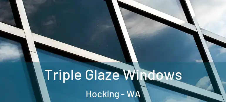 Triple Glaze Windows Hocking - WA