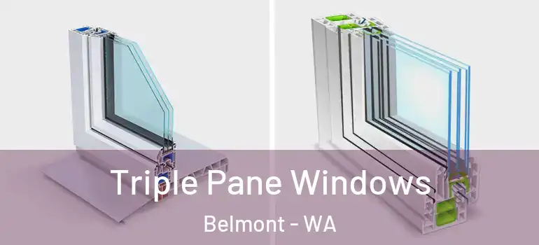  Triple Pane Windows Belmont - WA