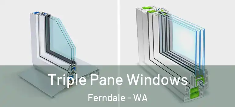  Triple Pane Windows Ferndale - WA