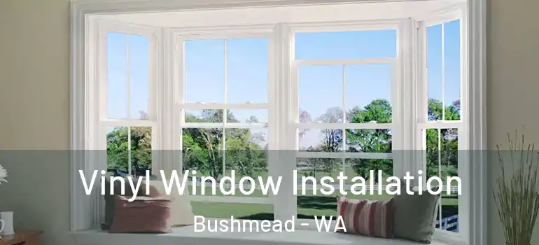 Vinyl Window Installation Bushmead - WA