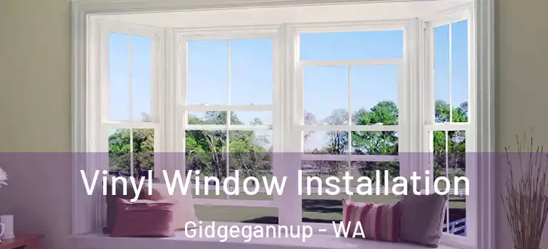 Vinyl Window Installation Gidgegannup - WA