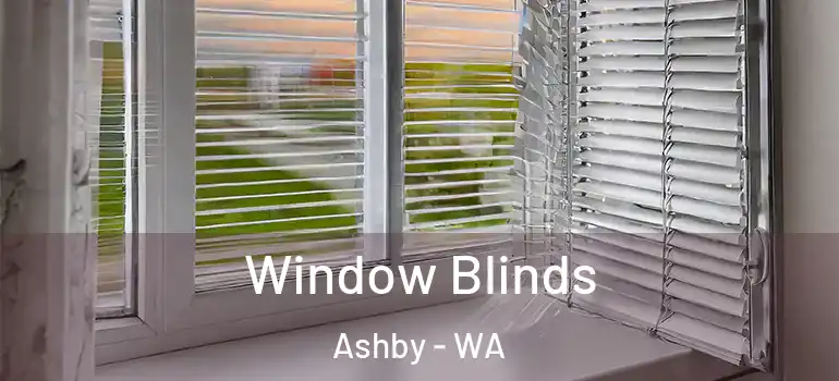  Window Blinds Ashby - WA
