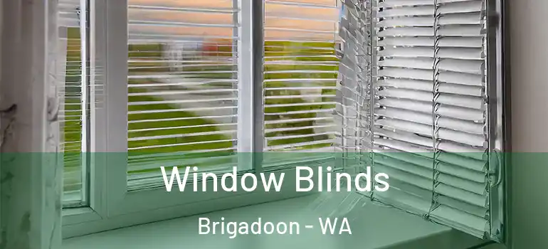  Window Blinds Brigadoon - WA