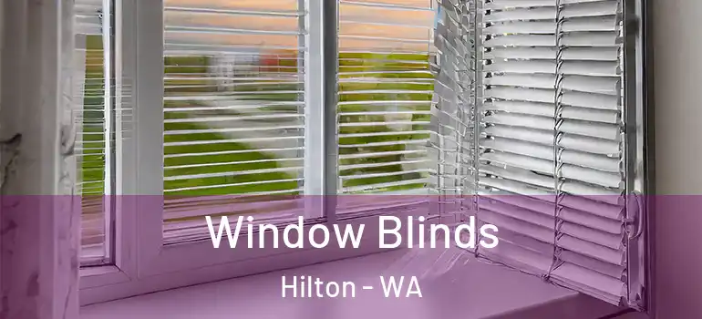 Window Blinds Hilton - WA