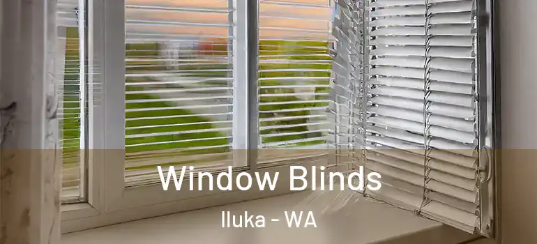  Window Blinds Iluka - WA