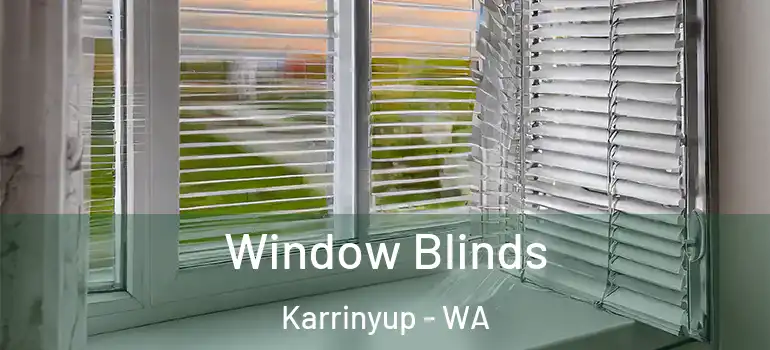 Window Blinds Karrinyup - WA