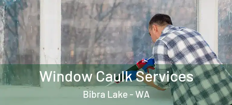 Window Caulk Services Bibra Lake - WA