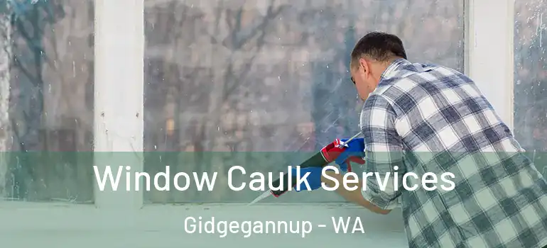 Window Caulk Services Gidgegannup - WA