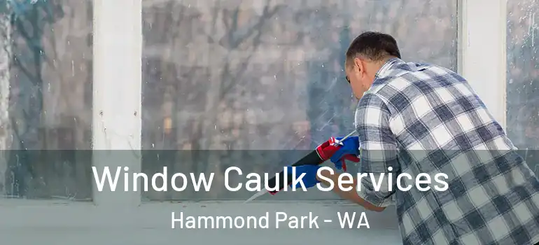  Window Caulk Services Hammond Park - WA