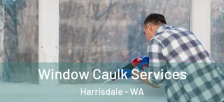  Window Caulk Services Harrisdale - WA