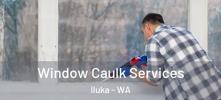  Window Caulk Services Iluka - WA