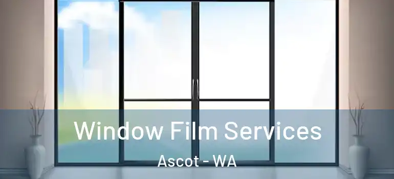  Window Film Services Ascot - WA