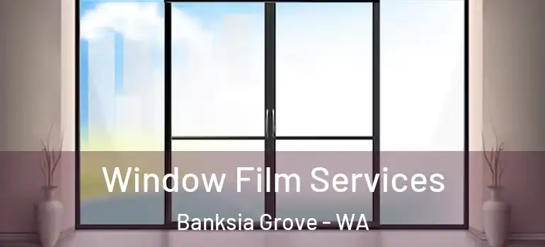  Window Film Services Banksia Grove - WA