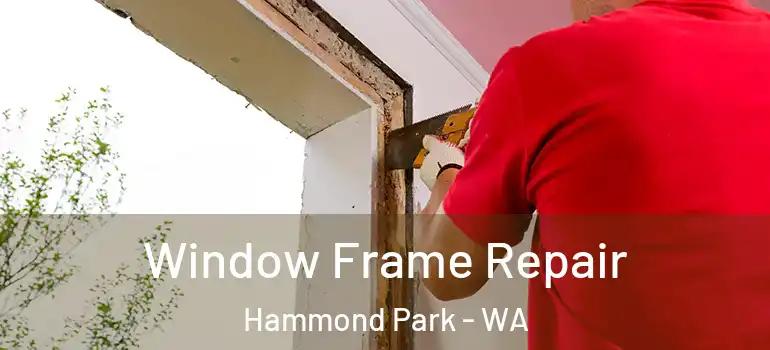 Window Frame Repair Hammond Park - WA