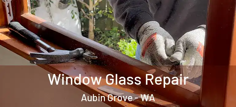  Window Glass Repair Aubin Grove - WA
