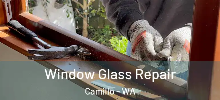  Window Glass Repair Camillo - WA