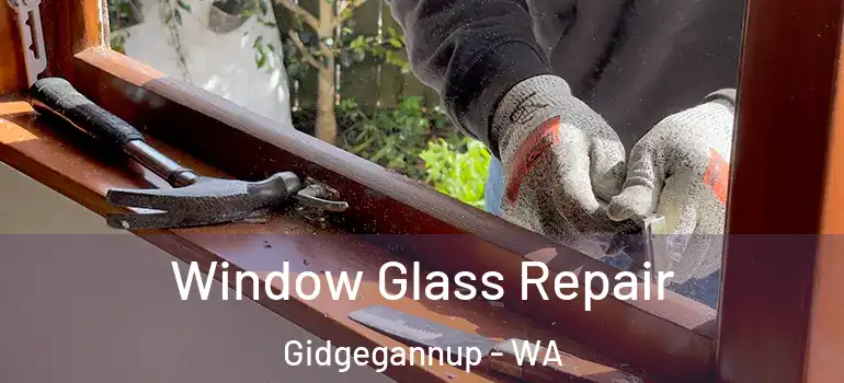  Window Glass Repair Gidgegannup - WA