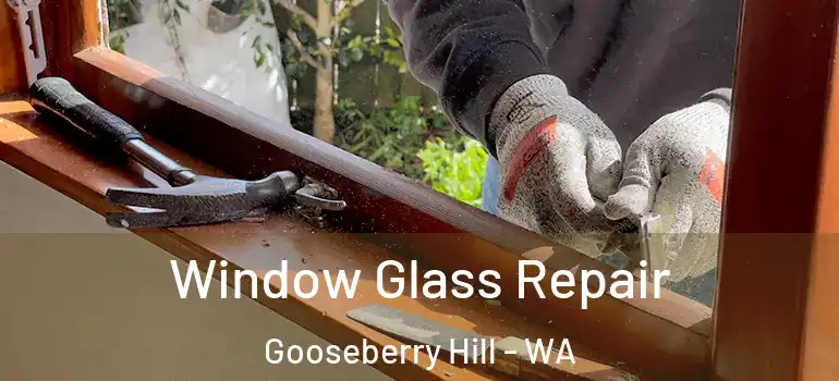  Window Glass Repair Gooseberry Hill - WA