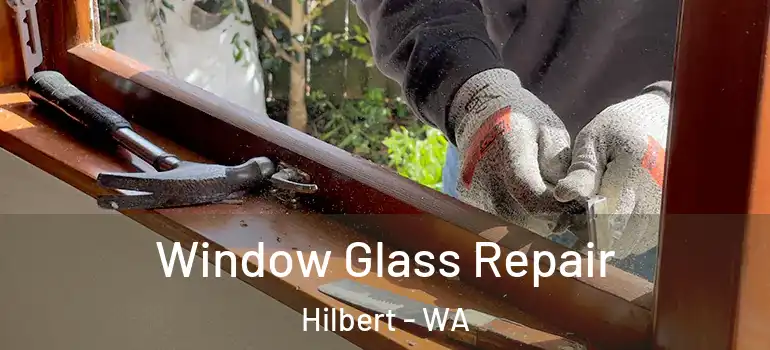  Window Glass Repair Hilbert - WA
