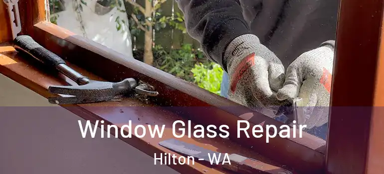 Window Glass Repair Hilton - WA
