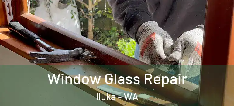 Window Glass Repair Iluka - WA