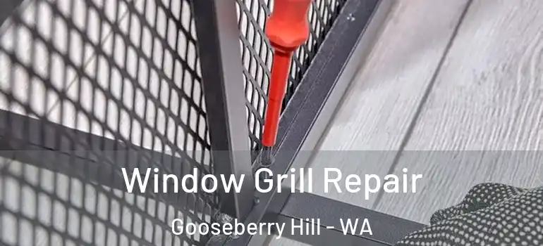 Window Grill Repair Gooseberry Hill - WA