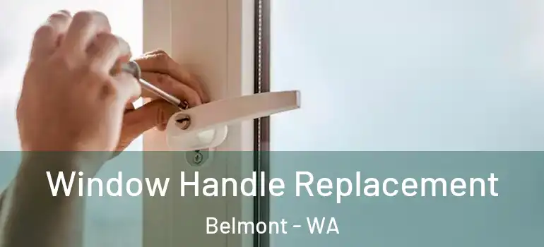 Window Handle Replacement Belmont - WA