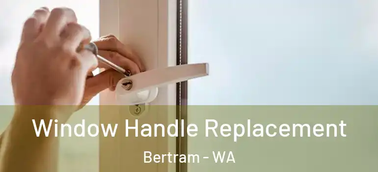  Window Handle Replacement Bertram - WA
