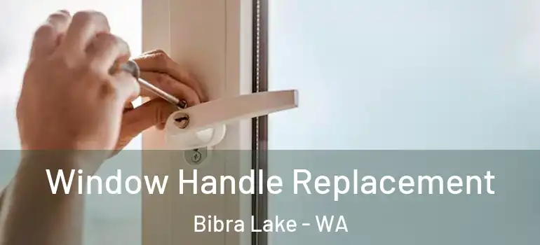 Window Handle Replacement Bibra Lake - WA