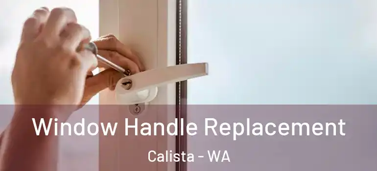 Window Handle Replacement Calista - WA