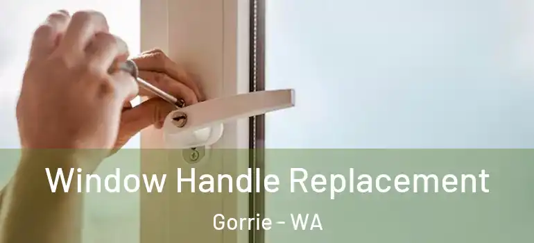 Window Handle Replacement Gorrie - WA