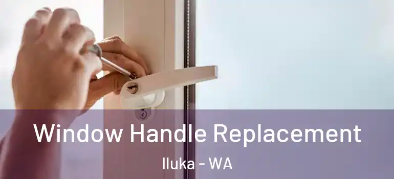  Window Handle Replacement Iluka - WA