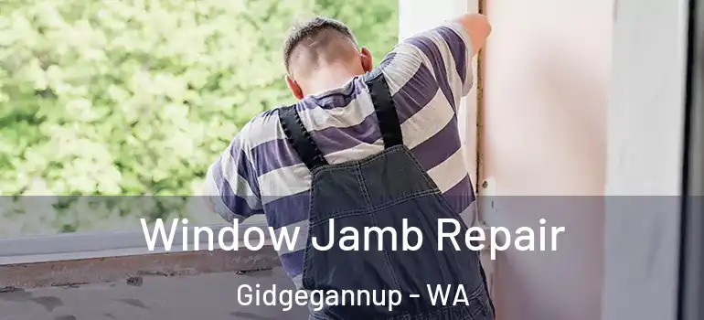 Window Jamb Repair Gidgegannup - WA