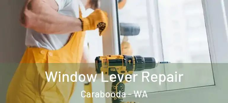  Window Lever Repair Carabooda - WA