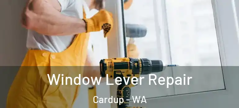 Window Lever Repair Cardup - WA