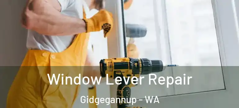  Window Lever Repair Gidgegannup - WA