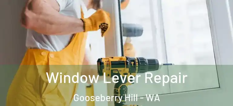 Window Lever Repair Gooseberry Hill - WA