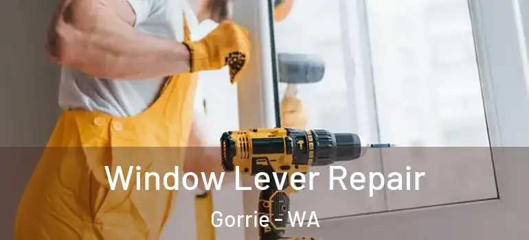 Window Lever Repair Gorrie - WA