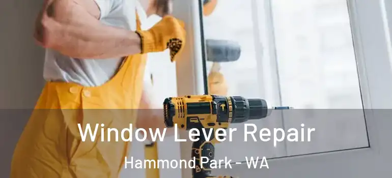 Window Lever Repair Hammond Park - WA