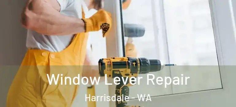 Window Lever Repair Harrisdale - WA
