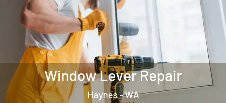 Window Lever Repair Haynes - WA