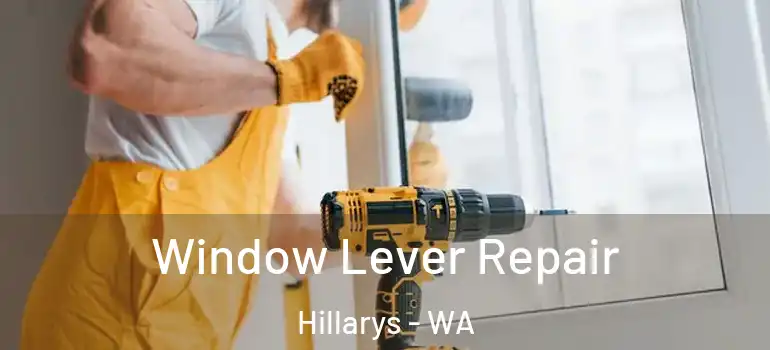  Window Lever Repair Hillarys - WA